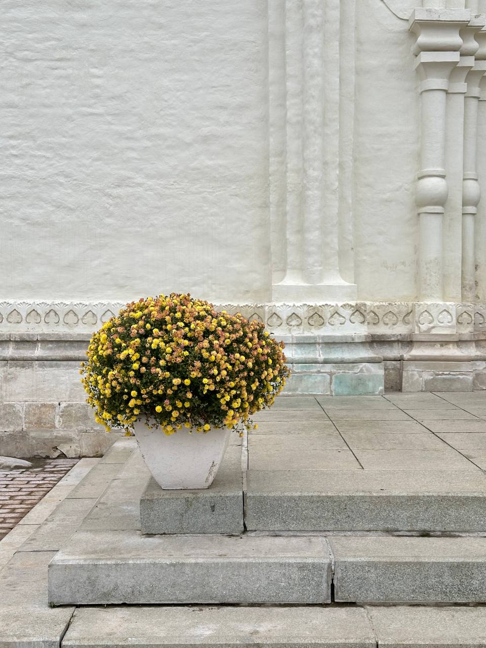 photo_2025-10-22_16-53-29