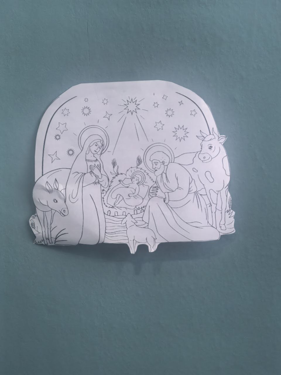 photo_2026-01-26_16-38-52