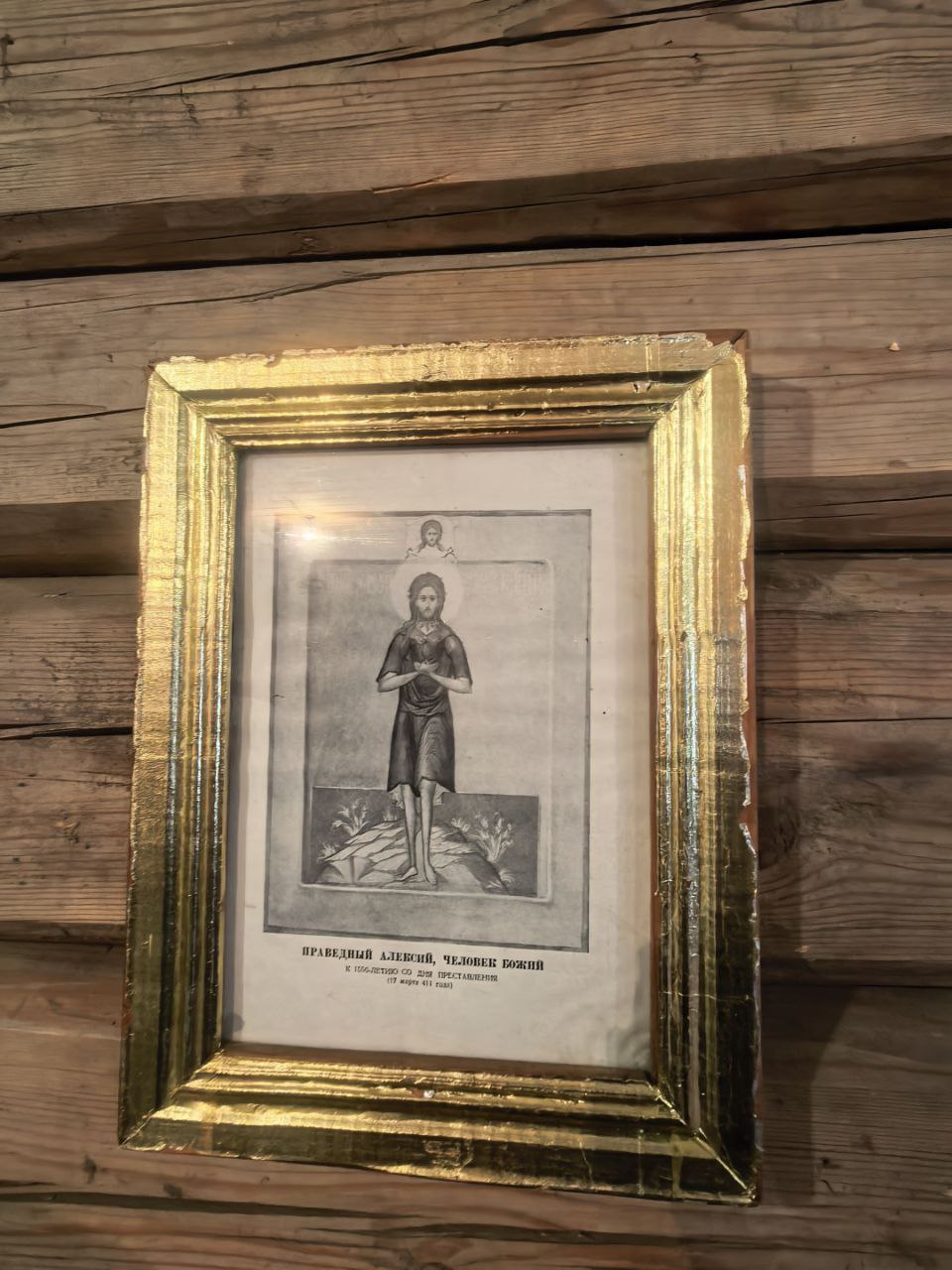 photo_2026-01-26_16-39-49