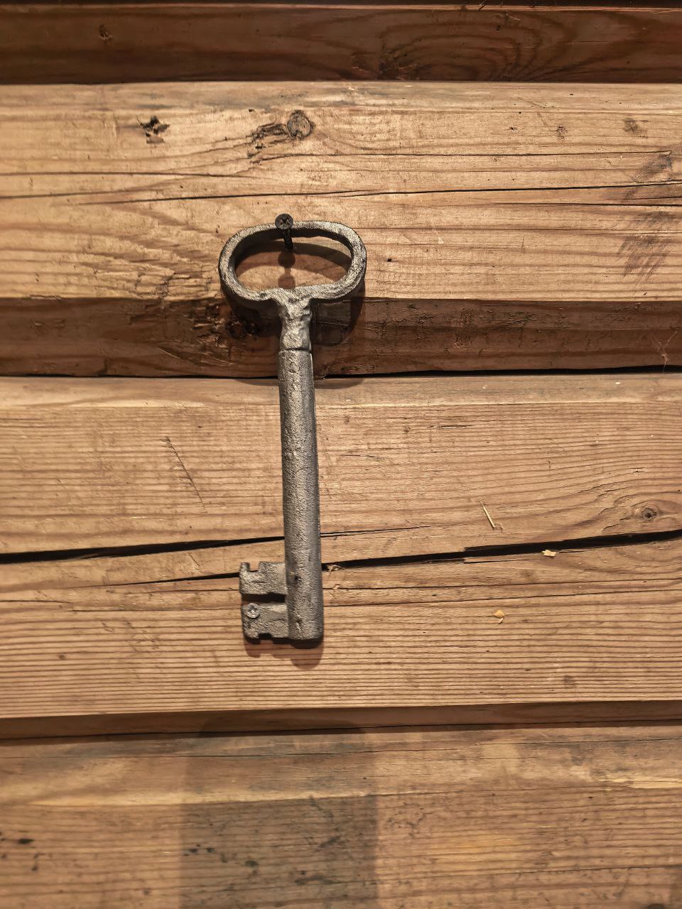 photo_2026-01-26_16-39-55