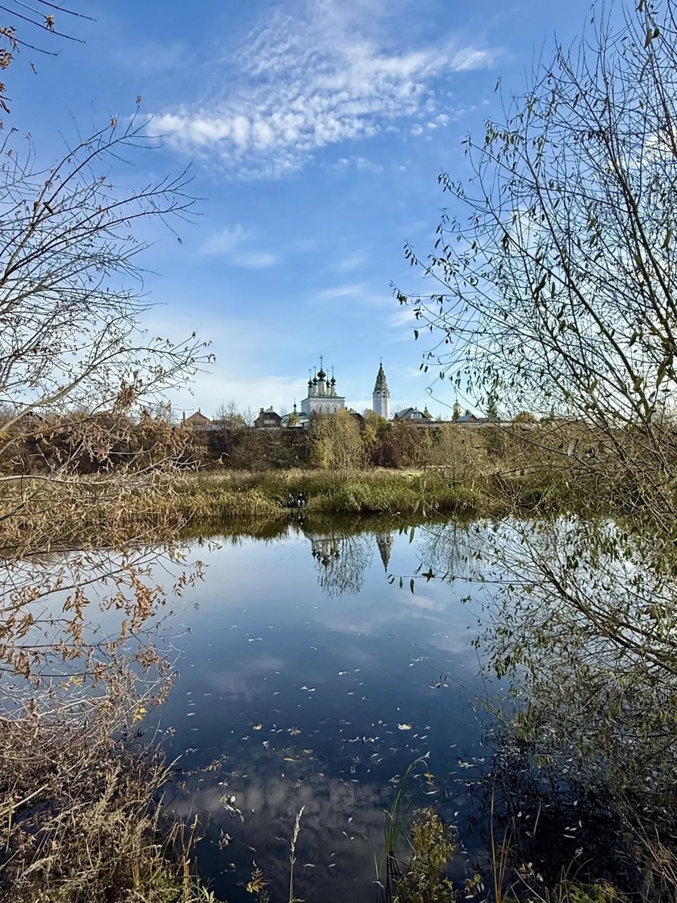 C2RIRfOd